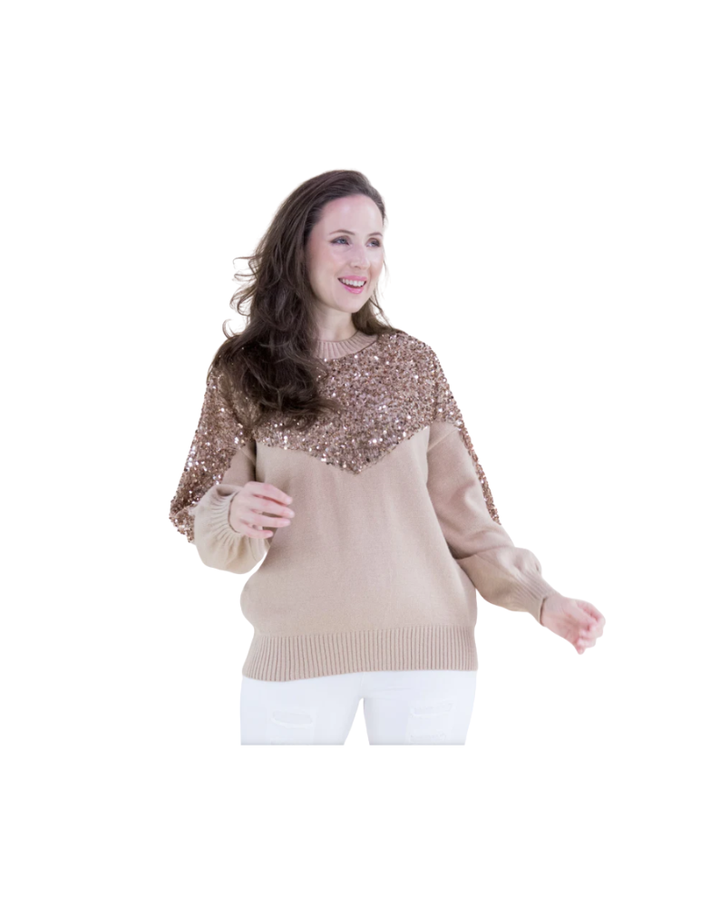 beige crew neck sweater with silver sequin yoke and sleeves